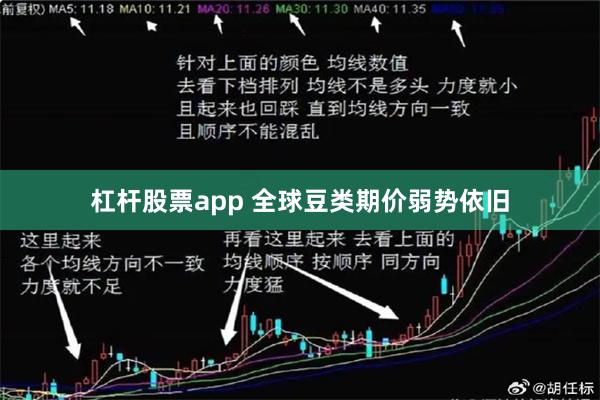 杠杆股票app 全球豆类期价弱势依旧