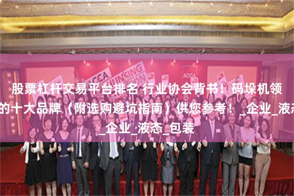 股票杠杆交易平台排名 行业协会背书！码垛机领域相关的十大品牌（附选购避坑指南）供您参考！_企业_液态_包装