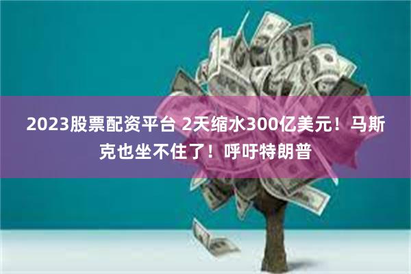 2023股票配资平台 2天缩水300亿美元！马斯克也坐不住了！呼吁特朗普