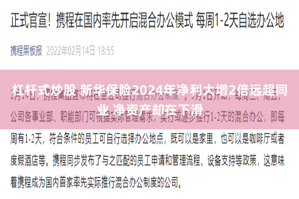 杠杆式炒股 新华保险2024年净利大增2倍远超同业 净资产却在下滑