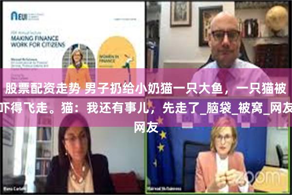 股票配资走势 男子扔给小奶猫一只大鱼，一只猫被吓得飞走。猫：我还有事儿，先走了_脑袋_被窝_网友
