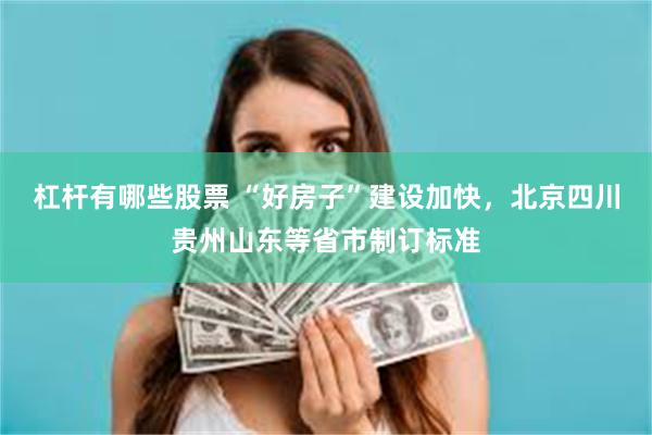 杠杆有哪些股票 “好房子”建设加快，北京四川贵州山东等省市制订标准