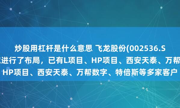 炒股用杠杆是什么意思 飞龙股份(002536.SZ)：已在超级充电桩领域进行了布局，已有L项目、HP项目、西安天泰、万帮数字、特倍斯等多家客户