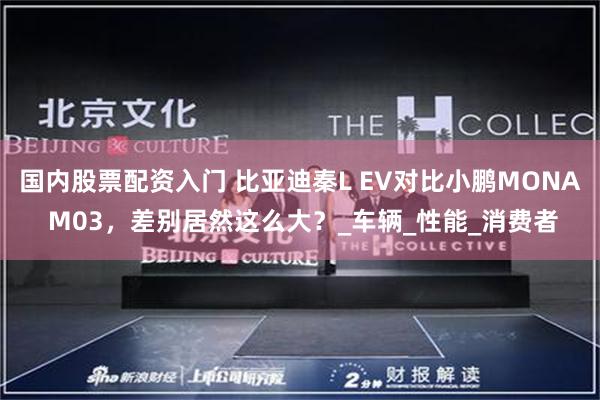 国内股票配资入门 比亚迪秦L EV对比小鹏MONA M03，差别居然这么大？_车辆_性能_消费者