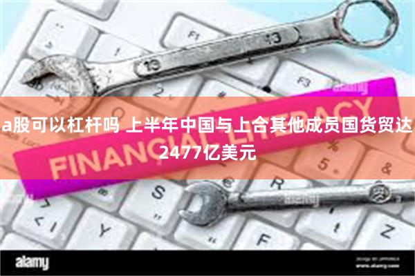 a股可以杠杆吗 上半年中国与上合其他成员国货贸达2477亿美元