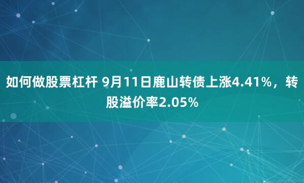 如何做股票杠杆 9月11日鹿山转债上涨4.41%，转股溢价率2.05%