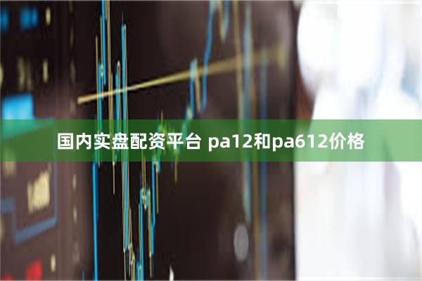 国内实盘配资平台 pa12和pa612价格