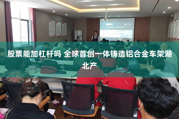 股票能加杠杆吗 全球首创一体铸造铝合金车架湖北产