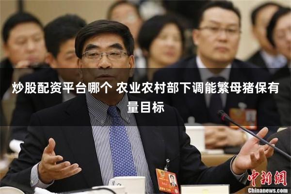 炒股配资平台哪个 农业农村部下调能繁母猪保有量目标
