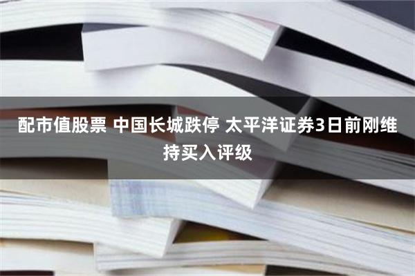 配市值股票 中国长城跌停 太平洋证券3日前刚维持买入评级