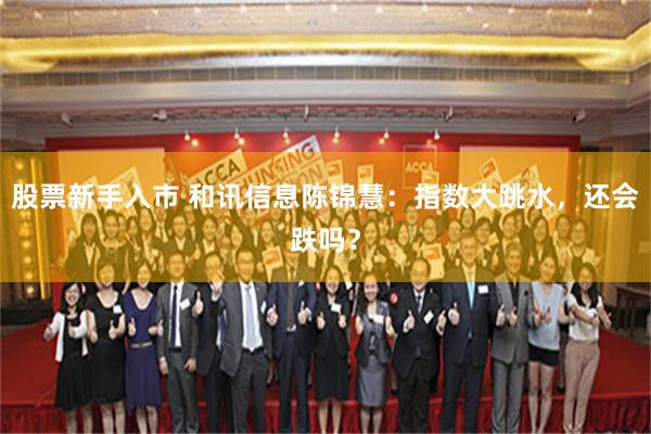 股票新手入市 和讯信息陈锦慧：指数大跳水，还会跌吗？