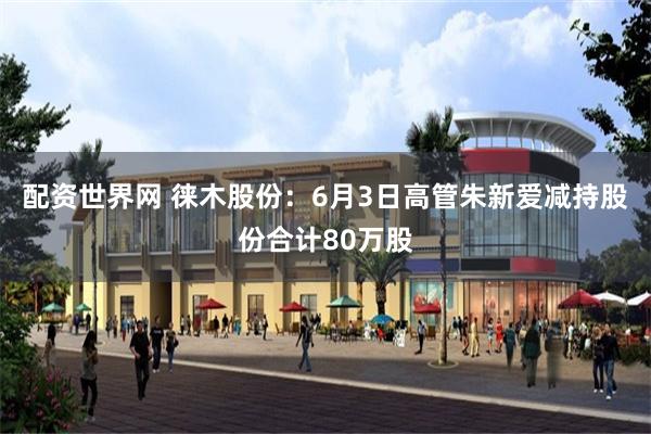 配资世界网 徕木股份：6月3日高管朱新爱减持股份合计80万股
