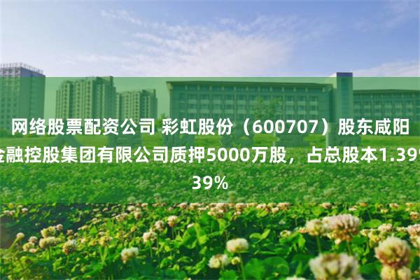 网络股票配资公司 彩虹股份（600707）股东咸阳金融控股集团有限公司质押5000万股，占总股本1.39%