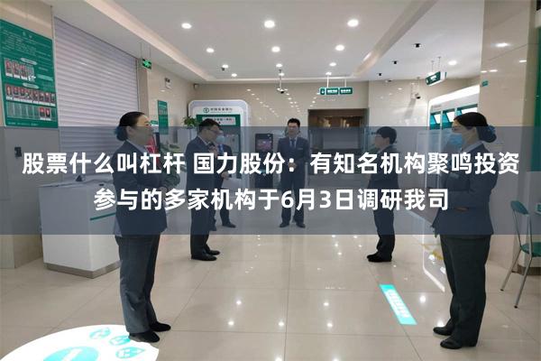 股票什么叫杠杆 国力股份：有知名机构聚鸣投资参与的多家机构于6月3日调研我司