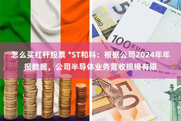 怎么买杠杆股票 *ST和科：根据公司2024年年报数据，公司半导体业务营收规模有限