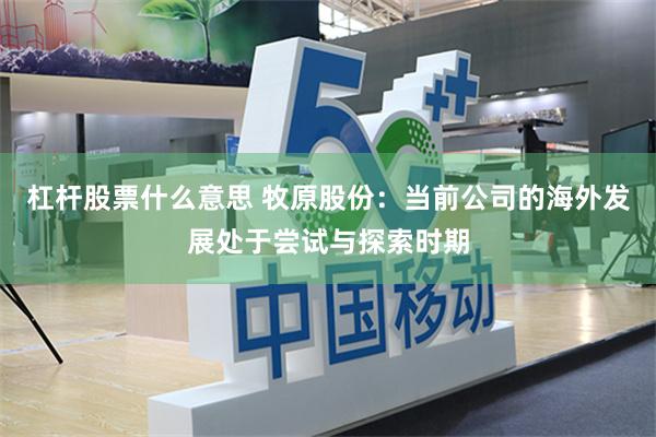 杠杆股票什么意思 牧原股份:当前公司的海外发展处于尝试与探索时期