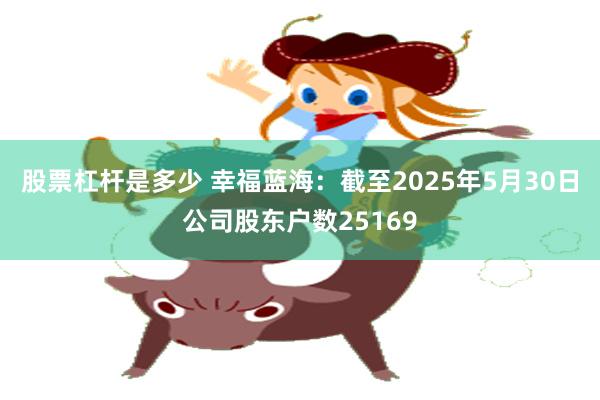 股票杠杆是多少 幸福蓝海：截至2025年5月30日公司股东户数25169