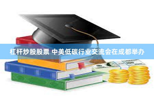 杠杆炒股股票 中美低碳行业交流会在成都举办