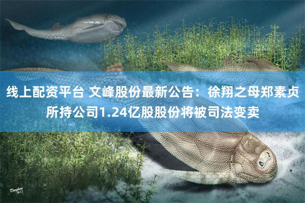 线上配资平台 文峰股份最新公告：徐翔之母郑素贞所持公司1.24亿股股份将被司法变卖