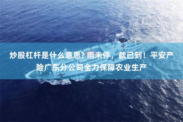 炒股杠杆是什么意思? 雨未停，款已到！平安产险广东分公司全力保障农业生产