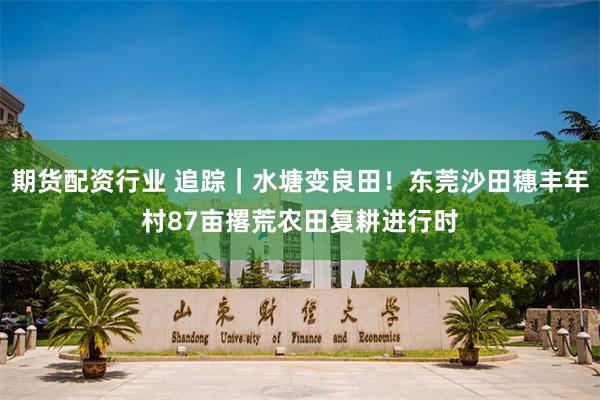 期货配资行业 追踪｜水塘变良田！东莞沙田穗丰年村87亩撂荒农田复耕进行时
