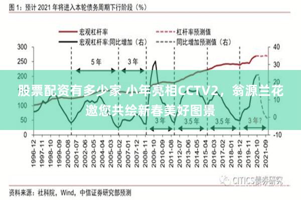 股票配资有多少家 小年亮相CCTV2，翁源兰花邀您共绘新春美好图景