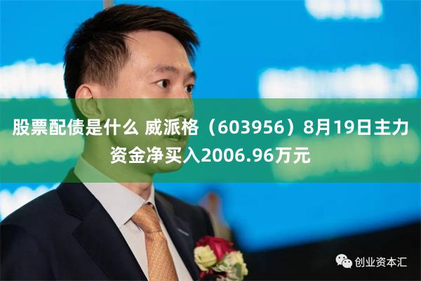 股票配债是什么 威派格（603956）8月19日主力资金净买入2006.96万元