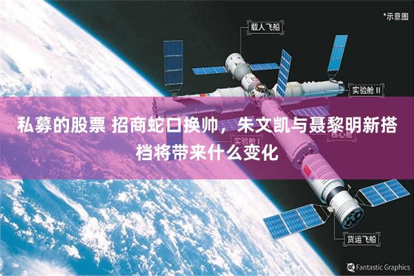 私募的股票 招商蛇口换帅，朱文凯与聂黎明新搭档将带来什么变化