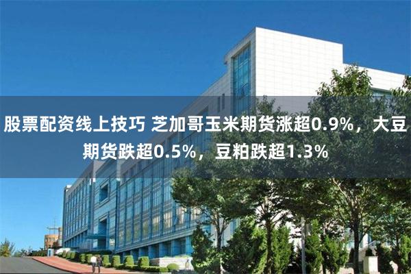 股票配资线上技巧 芝加哥玉米期货涨超0.9%，大豆期货跌超0.5%，豆粕跌超1.3%