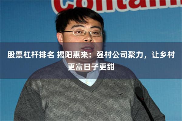 股票杠杆排名 揭阳惠来：强村公司聚力，让乡村更富日子更甜