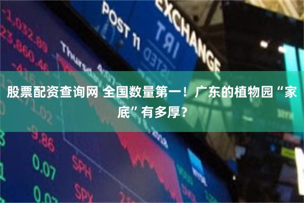 股票配资查询网 全国数量第一！广东的植物园“家底”有多厚？