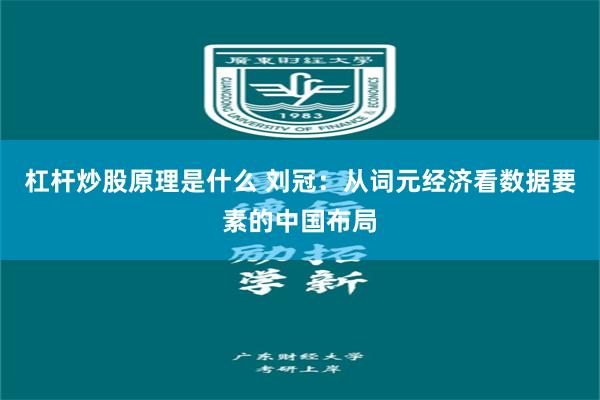 杠杆炒股原理是什么 刘冠：从词元经济看数据要素的中国布局