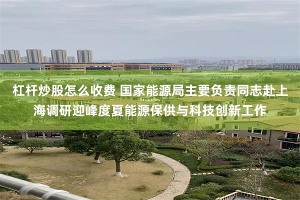 杠杆炒股怎么收费 国家能源局主要负责同志赴上海调研迎峰度夏能源保供与科技创新工作