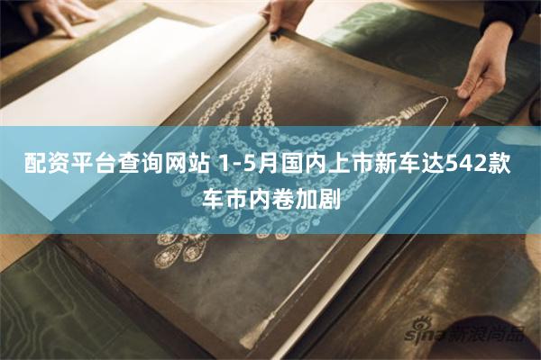 配资平台查询网站 1-5月国内上市新车达542款 车市内卷加剧