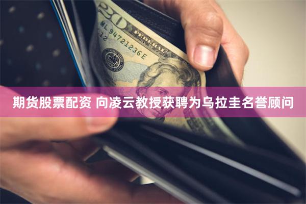 期货股票配资 向凌云教授获聘为乌拉圭名誉顾问