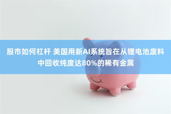 股市如何杠杆 美国用新AI系统旨在从锂电池废料中回收纯度达80%的稀有金属