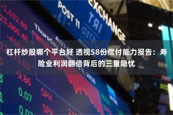 杠杆炒股哪个平台好 透视58份偿付能力报告：寿险业利润翻倍背后的三重隐忧