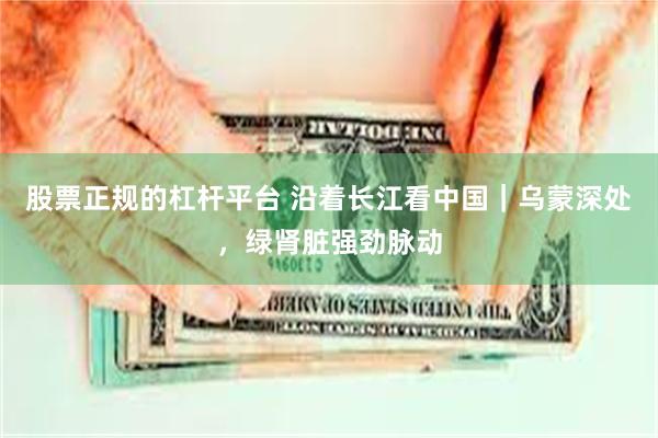 股票正规的杠杆平台 沿着长江看中国｜乌蒙深处，绿肾脏强劲脉动