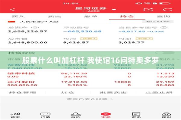 股票什么叫加杠杆 我使馆16问特奥多罗