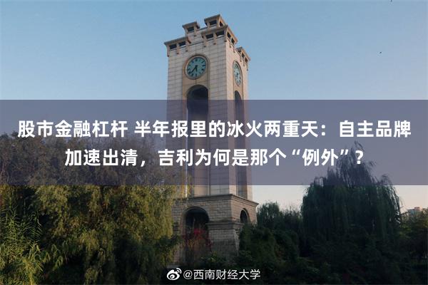 股市金融杠杆 半年报里的冰火两重天：自主品牌加速出清，吉利为何是那个“例外”？