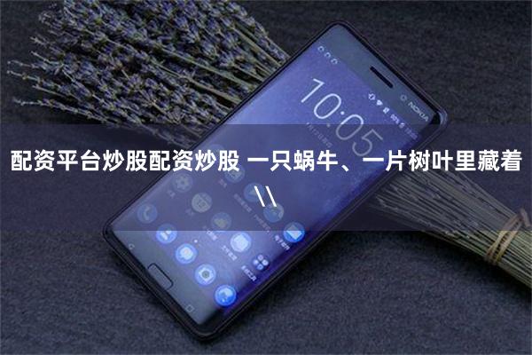 配资平台炒股配资炒股 一只蜗牛、一片树叶里藏着\