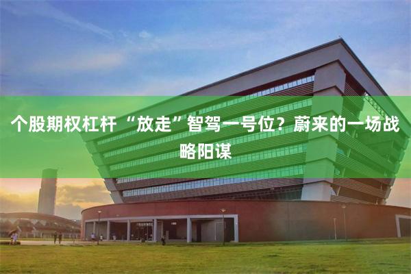 个股期权杠杆 “放走”智驾一号位?蔚来的一场战略阳谋