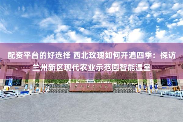 配资平台的好选择 西北玫瑰如何开遍四季：探访兰州新区现代农业示范园智能温室
