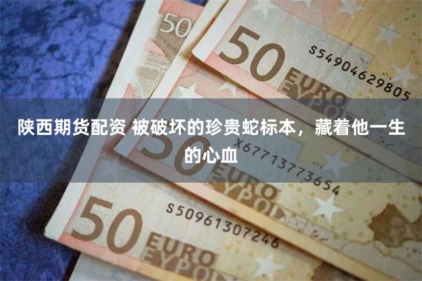 陕西期货配资 被破坏的珍贵蛇标本，藏着他一生的心血