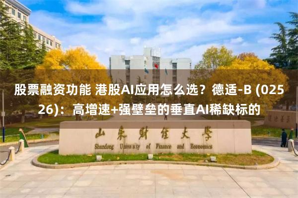 股票融资功能 港股AI应用怎么选？德适-B (02526)：高增速+强壁垒的垂直AI稀缺标的
