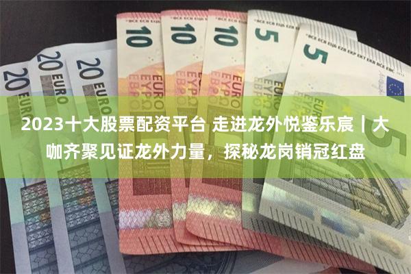 2023十大股票配资平台 走进龙外悦鉴乐宸｜大咖齐聚见证龙外力量，探秘龙岗销冠红盘