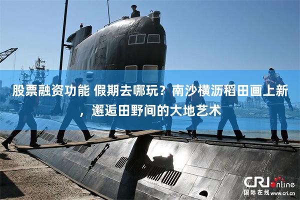 股票融资功能 假期去哪玩？南沙横沥稻田画上新，邂逅田野间的大地艺术