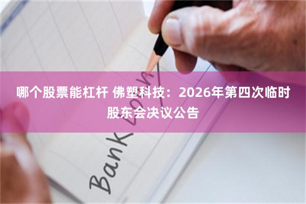 哪个股票能杠杆 佛塑科技：2026年第四次临时股东会决议公告