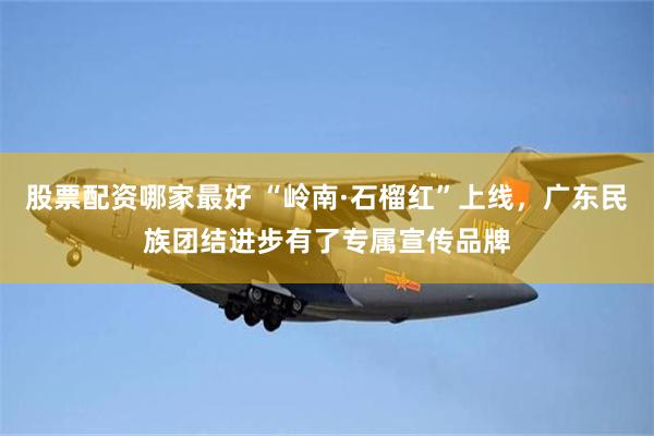 股票配资哪家最好 “岭南·石榴红”上线，广东民族团结进步有了专属宣传品牌