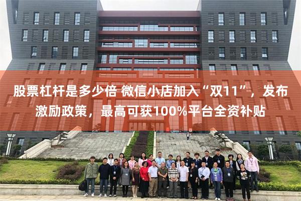 股票杠杆是多少倍 微信小店加入“双11”，发布激励政策，最高可获100%平台全资补贴